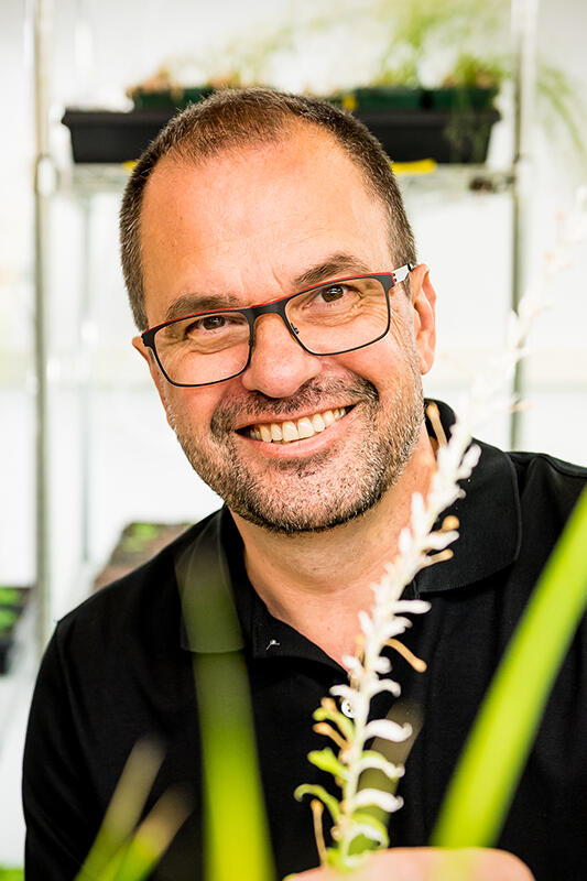 Daniel Voytas headshot