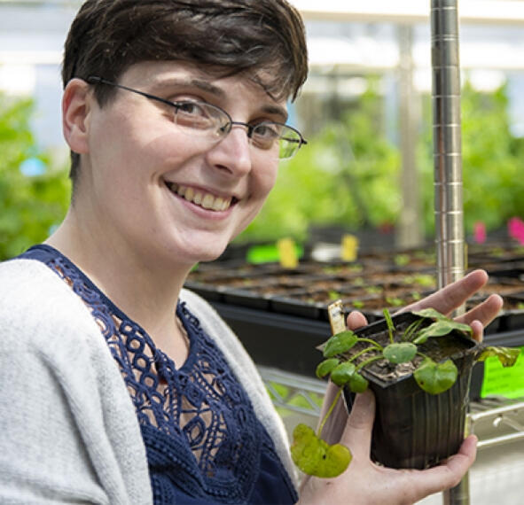 Rebecca Povilus headshot